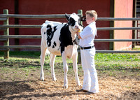Salmon Arm Fair