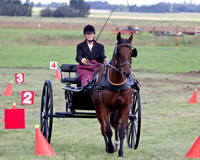 2012 Klondike Classic